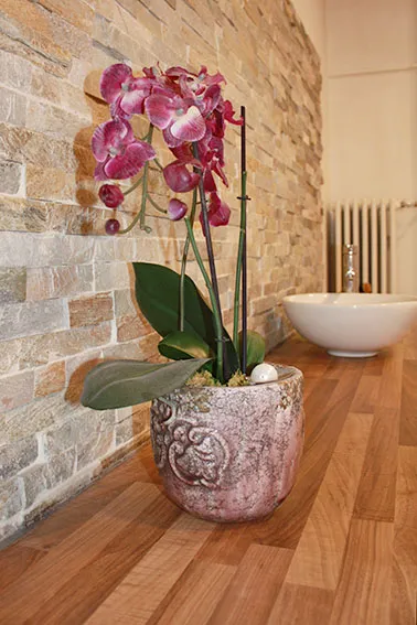 Orchidee mit Natursteinwand